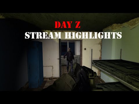 Fighting off an entire military horde by myself! | Day Z Stream Highlights