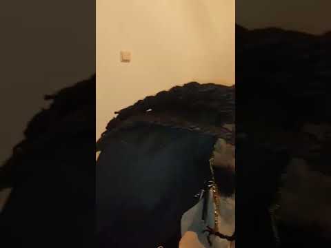 #lion #dreads #one #only #hoge #niveau #canotvct #tiktok #rasta