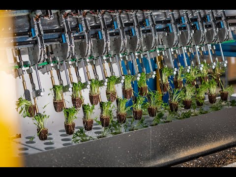 TTA - indoor farming innovators