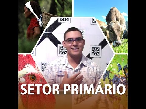 Setor Primário | #AdmDaProdução | CANAL DO DÉ