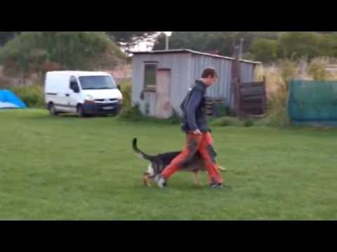 CHARLIE Z ÚDOLÍ ÚPY - 10 months