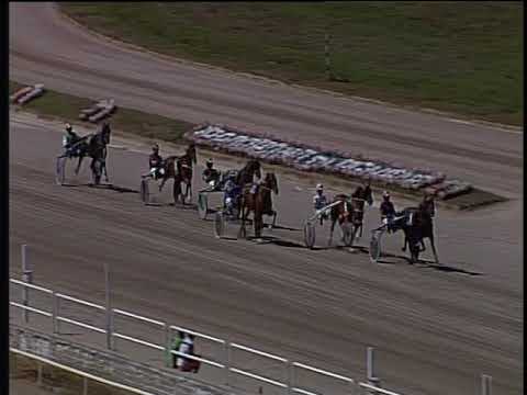 Trotto 08/09/2019 - 1ª prova di qualifica