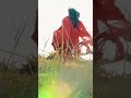 Tumhare Bina Apna Jeena Gawara Song Status Efx Status Lofi Status Short Efx Lofi