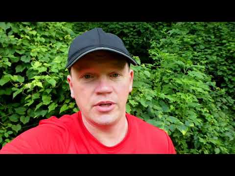 Bad News No Commercial