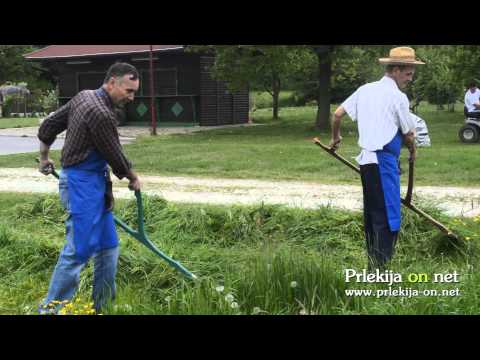 Košnja FS DU Križevci pri Ljutomeru