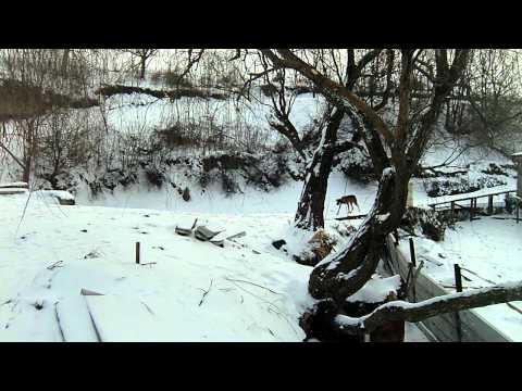 digul dintre tancabesti 1 si tancabesti 2