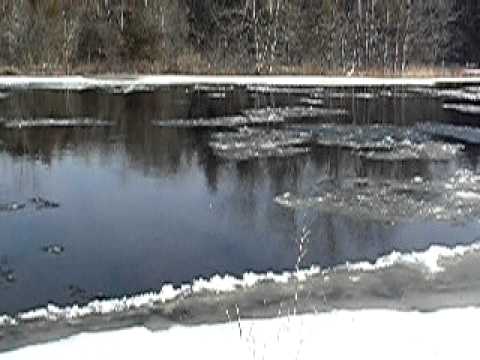 Kingsford Jan 28 2007.mov