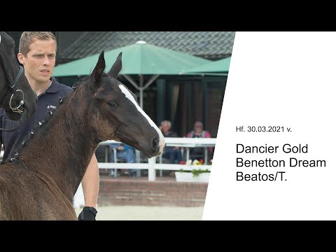 Hf v Dancier Gold x Benetton Dream x Beatos T 2021