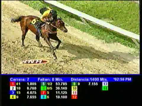 Resumen Sábado, 18 de Enero de 2014 - La Rinconada