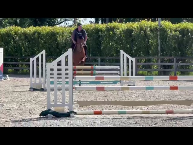 Riding and Jumping movie at home Escobar V Z.