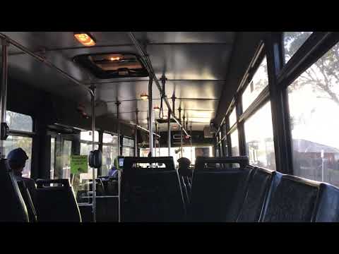 CDC Sunshine #53 (Volvo B10B, ZF, Volgren) route 419