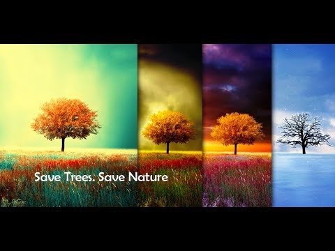 Awesome-Land Live wallpaper HD