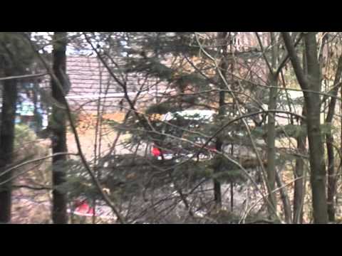 37 Rajd Cieszyńska Barbórka 2011 - Adam Kędzierski Michał Kłos Peugeot 106 by OesRecords