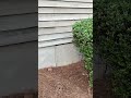 IMG 0002