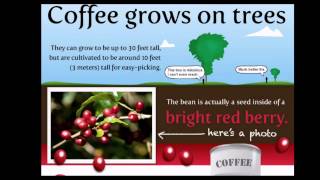 15 Things Worth Knowing About Coffee