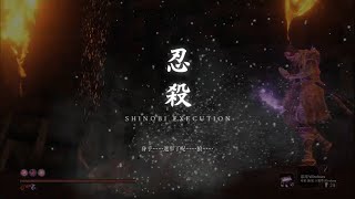 [閒聊] 隻狼 只是小狗....