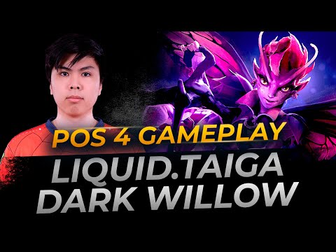 Liquid.Taiga plays Dark Willow | Full Gameplay Dota 2 Replay