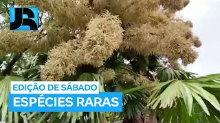 Miniatura do vídeo