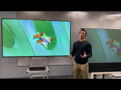 MirraViz Home Theater - 100-inch, 4K UHD Laser TV