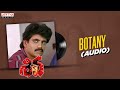 Botany Audio Shiva Nagarjuna Amala Ramgopal Varma Ilayaraja