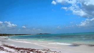 preview picture of video 'Möwen und Strand des Hotel Grand Palladium Resort Riviera Maya Playa Kantenah Yucatan Mexiko'