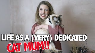 Dating Website for Lonely Cats | Cat Mums | Short Stuff | BBC Scotland