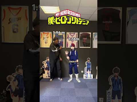 QUI EST LE PLUS GRAND DE MHA