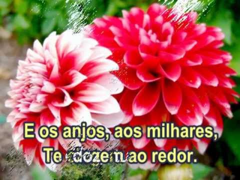 Jerusalém Divina - 207 - Harpa Cristã.mpg