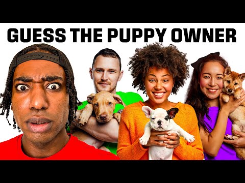 Match The Puppy To The Owner