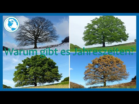 Warum gibt es Jahreszeiten?