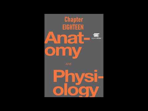 OpenStax Anatomy And Physiology Audiobook Chapter 18 - Read Along