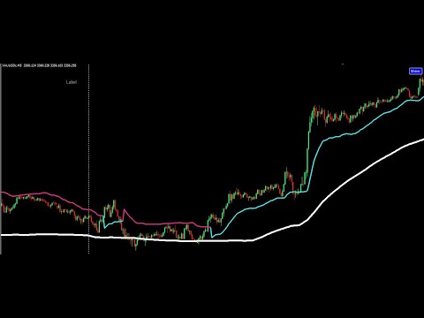 METATRADER: Trade Like a PRO with This  FOREX Strategy!