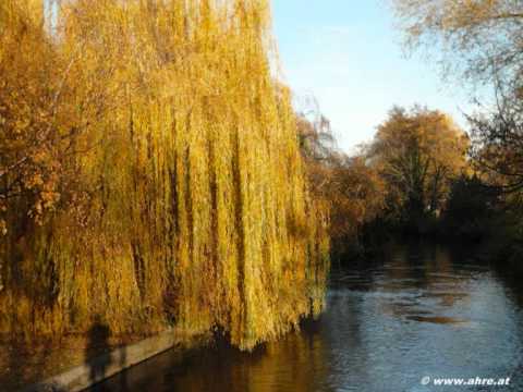 Rainhard Fendrich - Ode an Niederösterreich