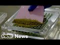 Is Microdosing The Future Of Marijuana