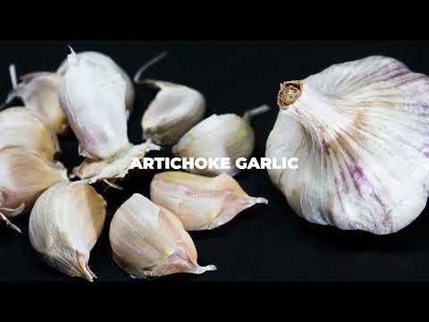 A Grade Purple Garlic