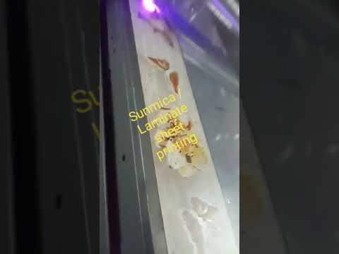 Wood printing solutions