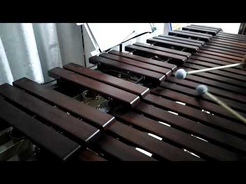 Inni di lode N°592: Fa' che si scorga Marimba Cover