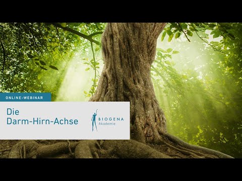 Die Darm-Hirn-Achse 🧐 | Webinar mit Dr. Reinhard Pichler 👨‍⚕️