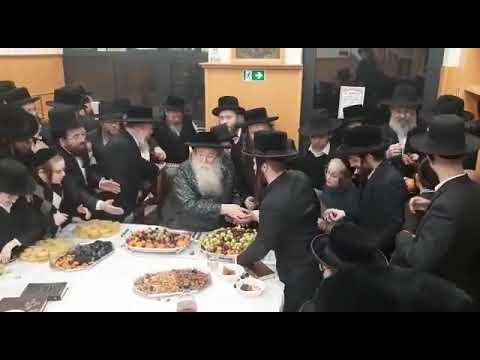 15 Shvat 5782 With Sanz Zmigrad Rebbe In Antwerp