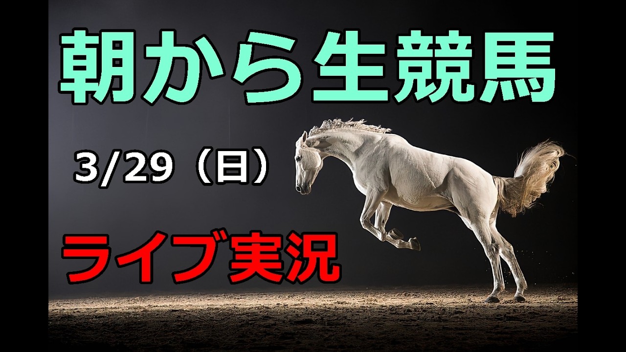 中央競馬【競馬実況】　生配信！！（中京、阪神、中山）