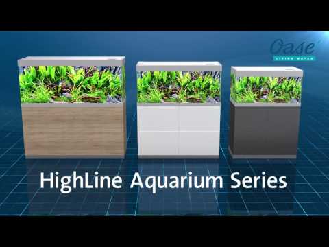 Watch Video on YouTube