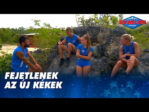 súlyos súlycsökkenési százalék mi a legjobb fogyás ital