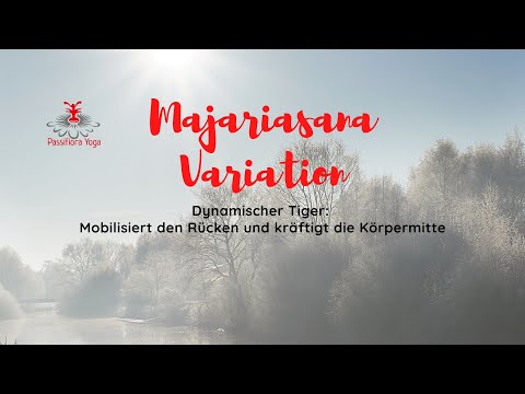 Majariasana Variation - Der dynamische Tiger