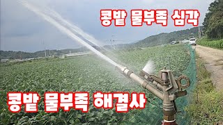 콩밭 가뭄해결은 경운기 대포가 해결 경운기 부착 피스톤 펌프 메주콩 풀뿌리농장 #shorts