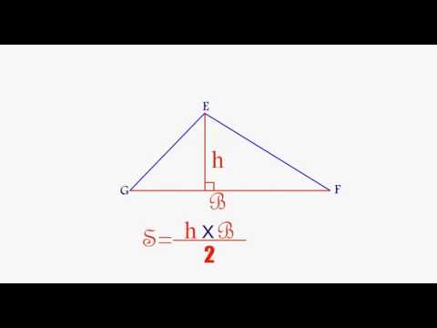 مساحة مثلث على أنواعه الرياضيات المستوى الخامس إبتدائي