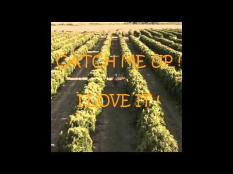 Avicii Vs Icona Pop Vs Kelly Clarkson - Catch Me Up, I love It