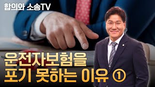 운전자보험을 포기 못하는 이유 80-1회