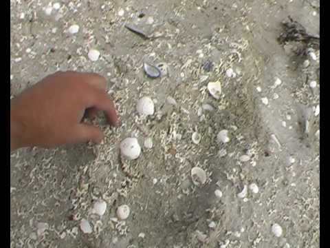 Scotland- Arisaig- first time, Sea Kayaking.