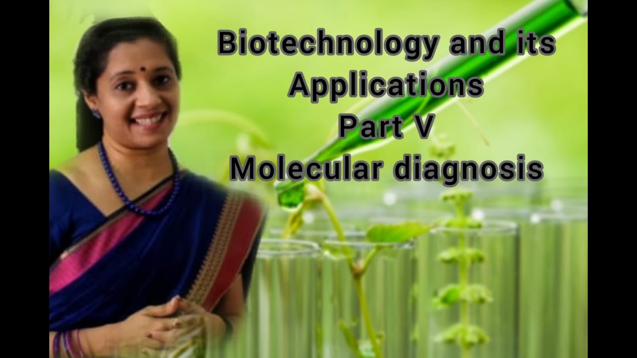 NEET: Biotechnology and Its Applications: Part V Molecular Diagnosis