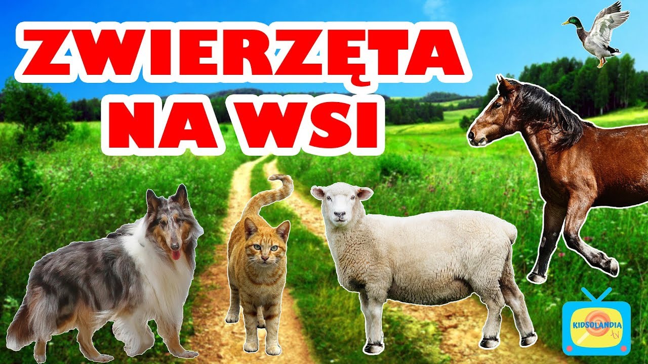Zwierzęta na wsi - Nauka zwierząt dla dzieci po polsku - Odgłosy zwierząt - Farma